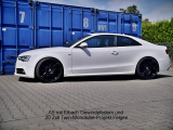 Eibach Gewindefedern Audi A5 (Typ B8, 8T) VA bis 1.130kg