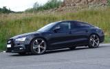 Eibach Gewindefedern Audi A5 (Typ B8, 8T) VA bis 1.130kg